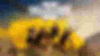 HELLDIVERS II game art with four characters on a hill with yellow smoke behind them.