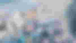 Artery Gear Fusion header